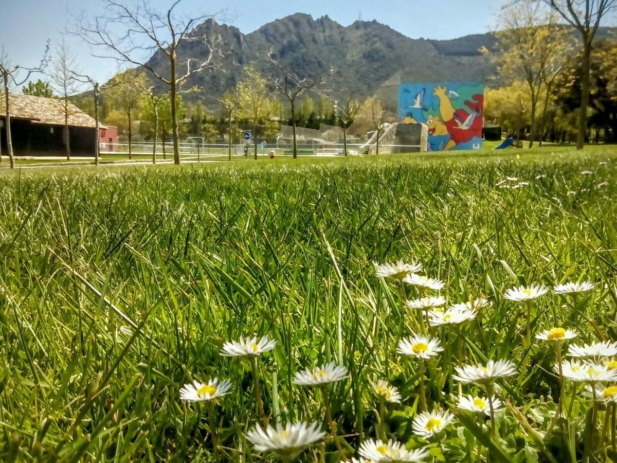 Camping Iratxe Ciudad De Vacaciones Ayegui Zewnętrze zdjęcie